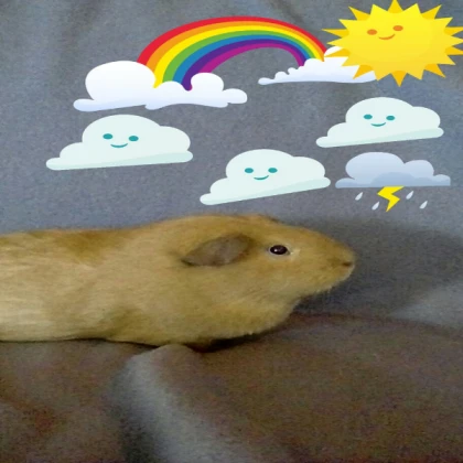 Hamster's cool Sky Model