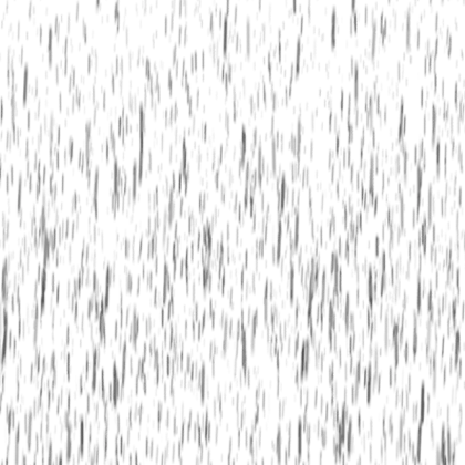 Bird Rain