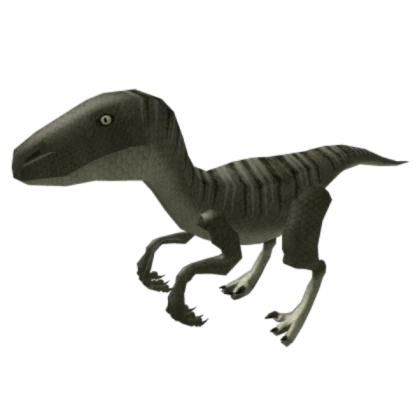 Baby Giganotosaurus