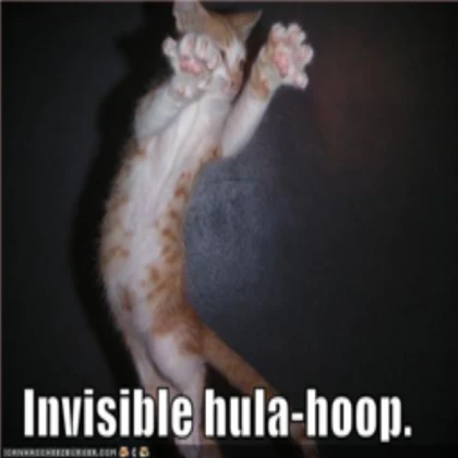 The Invisible Cat!