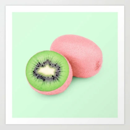 Kiwi Bird