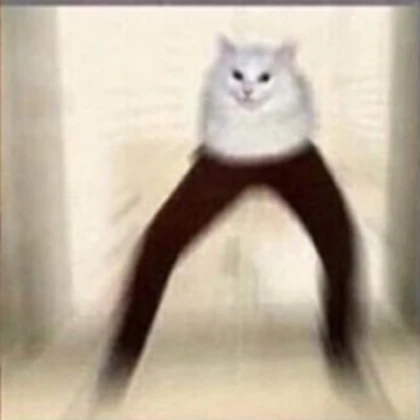 Dancing Maxwell The Cat! (working)