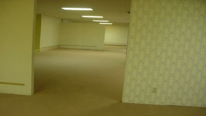 the backrooms