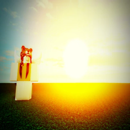 Bird Ragdoll (Sunrise)