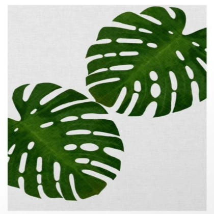 Bird Monstera