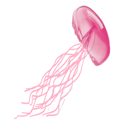 jellyfish