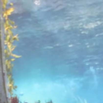 🌊 Realistic Ocean Wave Water Swimming Ocean Beach