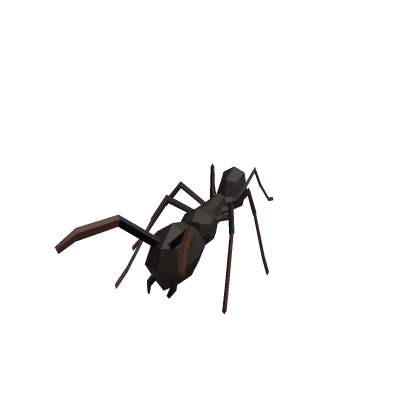 Ant