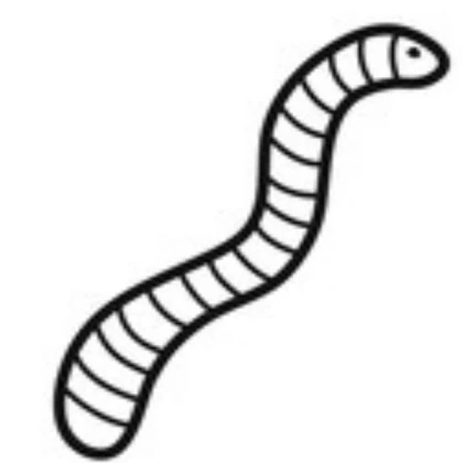 The Worms (V3)