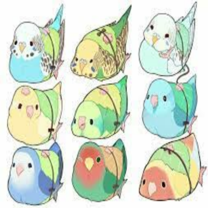 Bird Random Decals