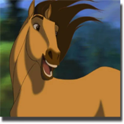 horse
