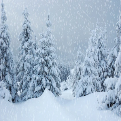 Snow Day!