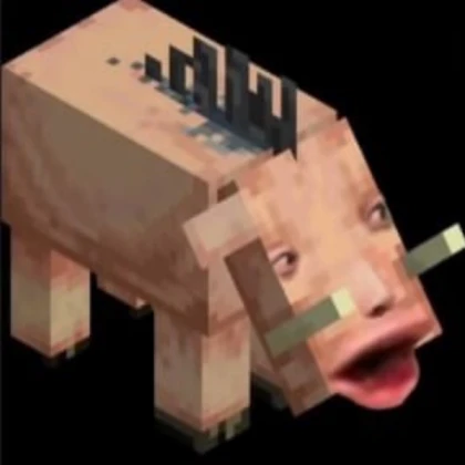 Constructed Mech Pig