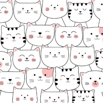 Cool Cat Model