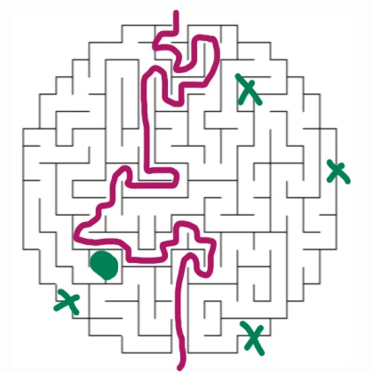 Scoobis maze