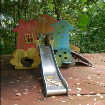 Bird house and playground