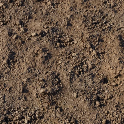 Mud
