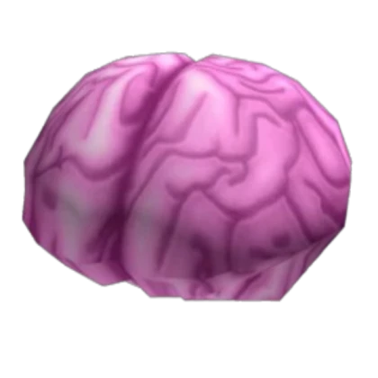 Realistic Brain