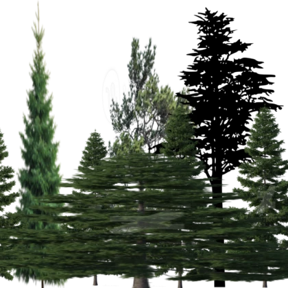 Trees Pack (Large, Wide, Small)