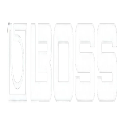 6 Boss Music Parts