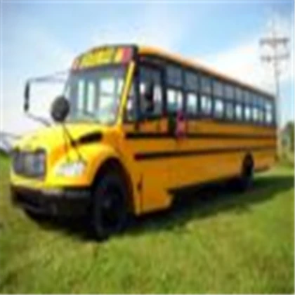 School Bus