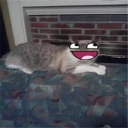 Silly Cat (Again lol)