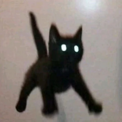 magic whispers kitty black kitty