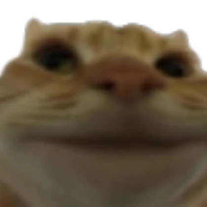 *Working* Cute Cat