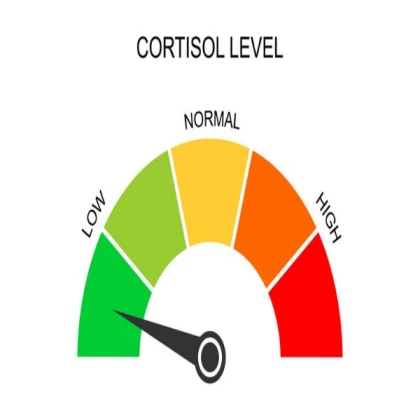 Cortisol Level Bar
