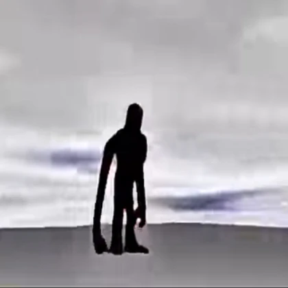 ################