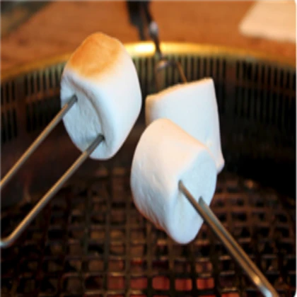 Marshmallow on a stick