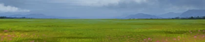 Naturalistic World