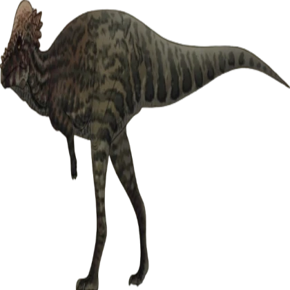 Pachycephalosaurus