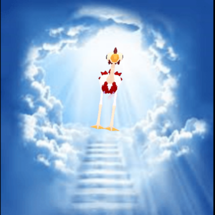 Jesus Bird