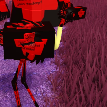 c00lkidd Infection