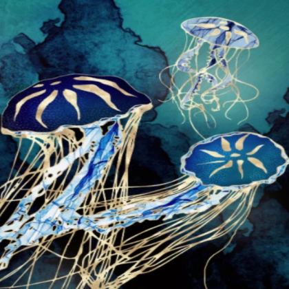 Jellyfish