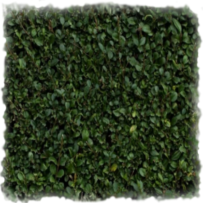 High Poly Hedge