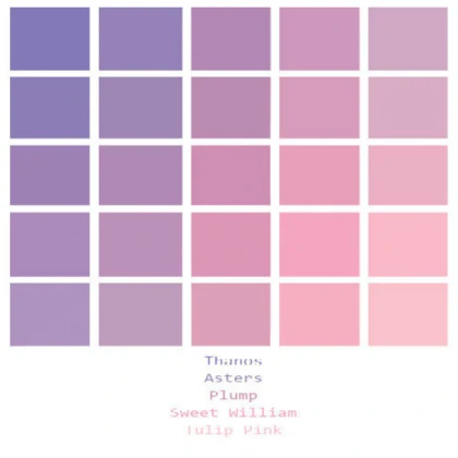 Bird ragdolls: Some shades of pink and purple