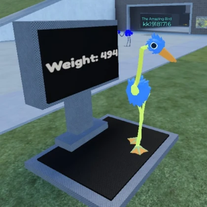 Weight Scale