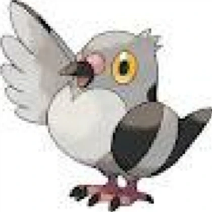 pidove in leash glowing color fur and feather