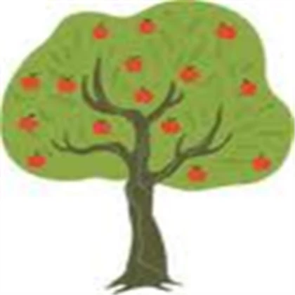aplle tree