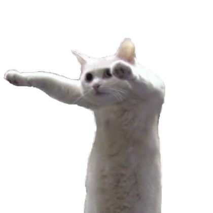 SCARY CAT