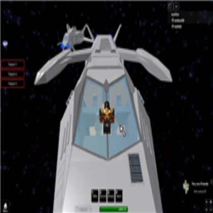Working BIRD Spaceship