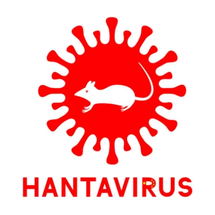 The Hantavirus Potion