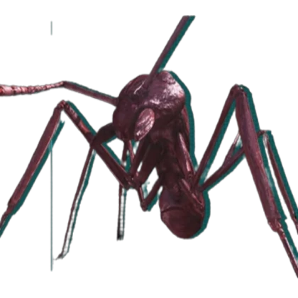 Ant